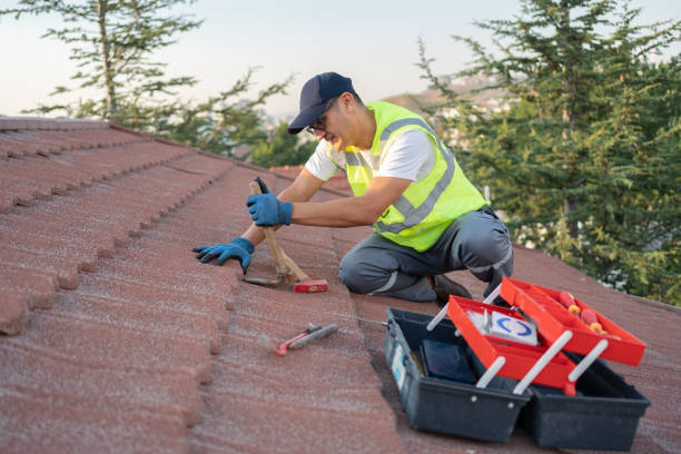 Sealant for Roof in Prairie Grove, IL