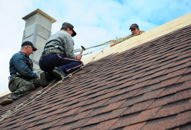 Best Best Roofing Contractors  in Prairie Grove, IL