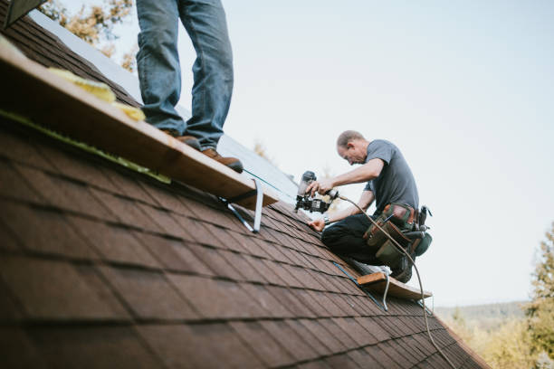 Best Roof Gutter Cleaning  in Prairie Grove, IL