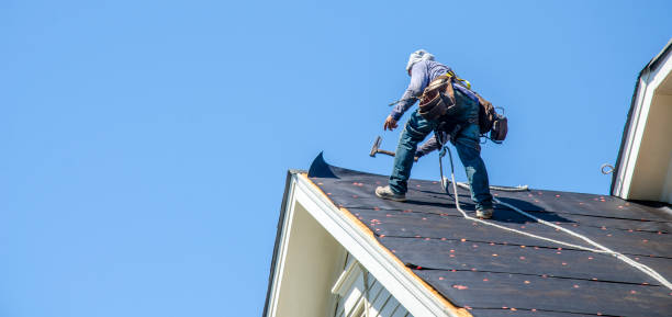 Best Roof Waterproofing Services  in Prairie Grove, IL
